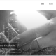 Berlemond - Management | Capital | Risk